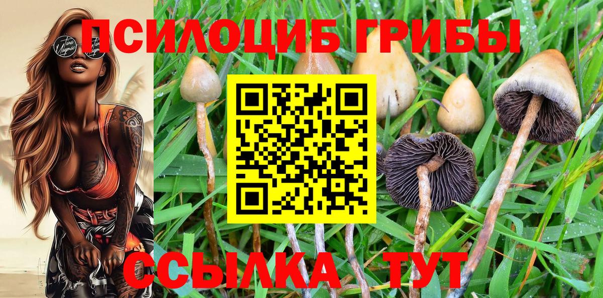 Галлюциногенные грибы GOLDEN TEACHER  Вход с VPN  Лесосибирск 